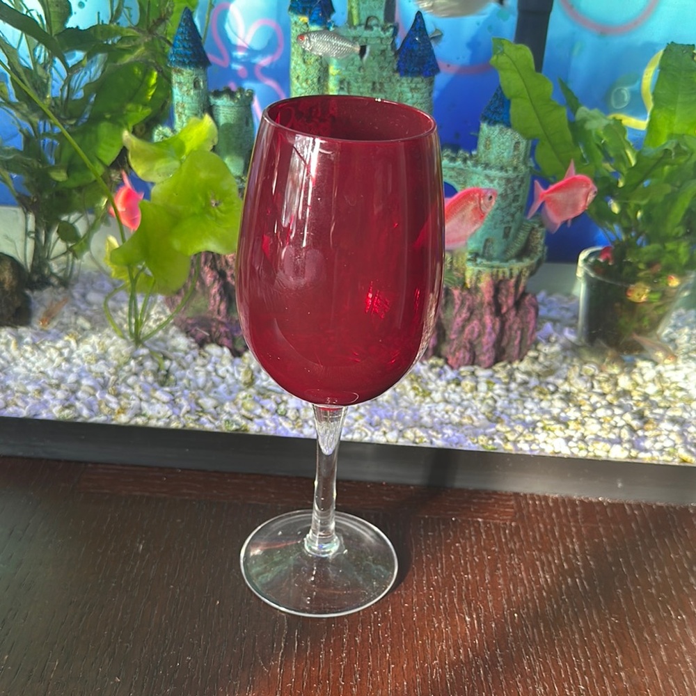 Elegant Red Wine Glass